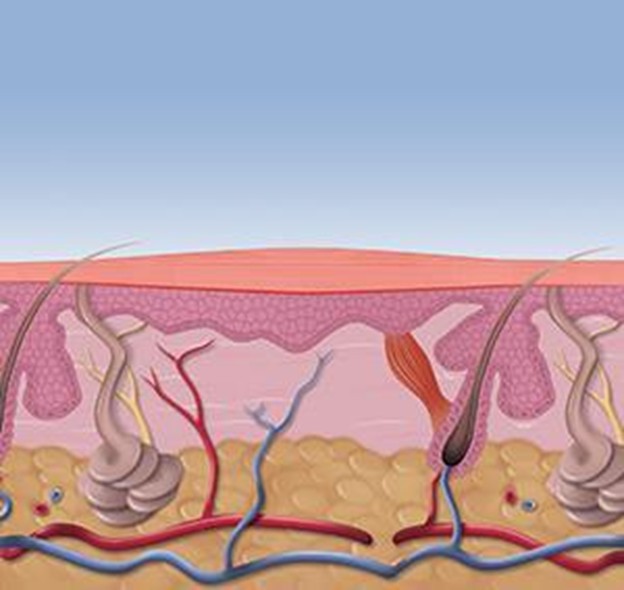 Swift5 Wart resolved